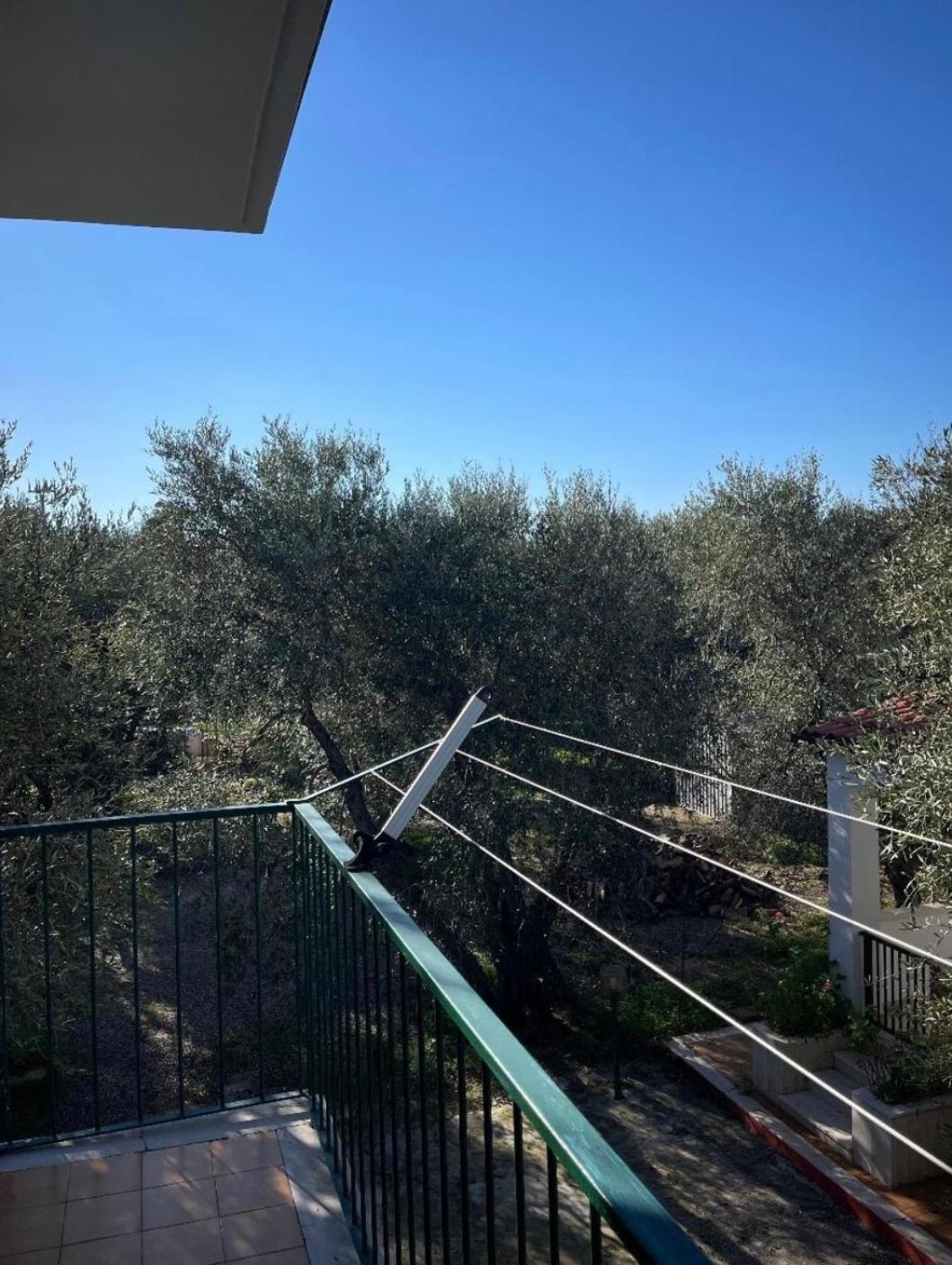 Villa Margherita Vieste Kültér fotó